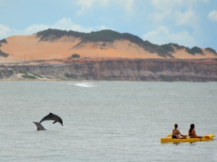 Surfers Sushi  Rio Grande RS